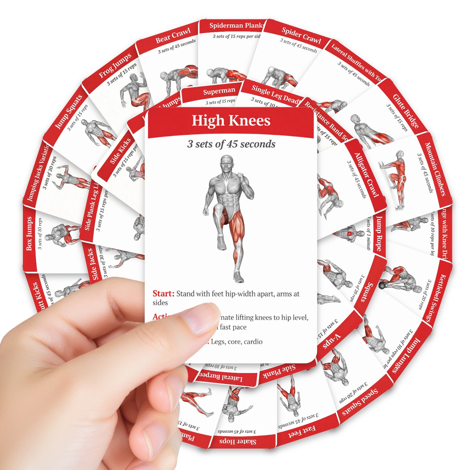 Home Gym Needs - Cartes de guide d'entraînement pour brûler