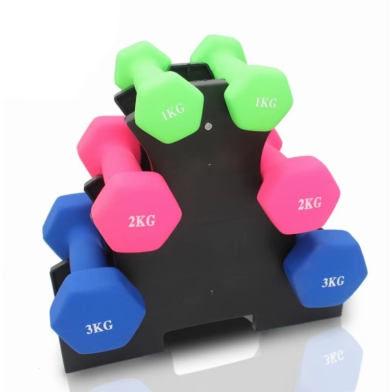 Support de rangement pour halt - Home Gym Gym avis et prix