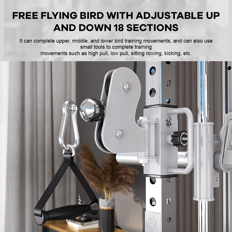 YTYIN Fournisseur d'usine Équi - Home Gym Smith avis et prix