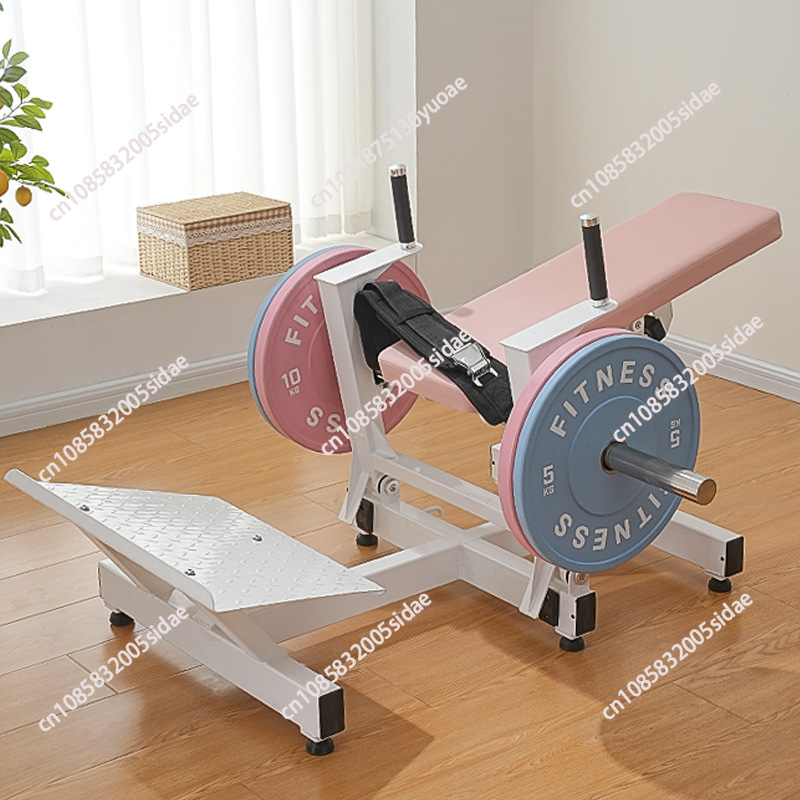Appareil d'entraînement des fe - Home Gym Trainer avis et prix