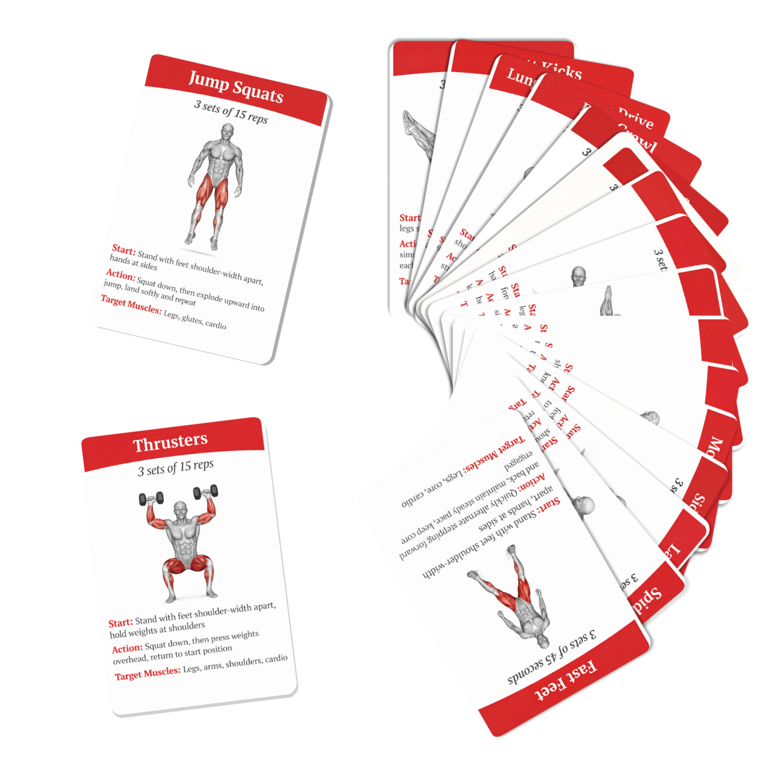 Cartes de guide d'entraînement - Home Gym Needs avis et prix