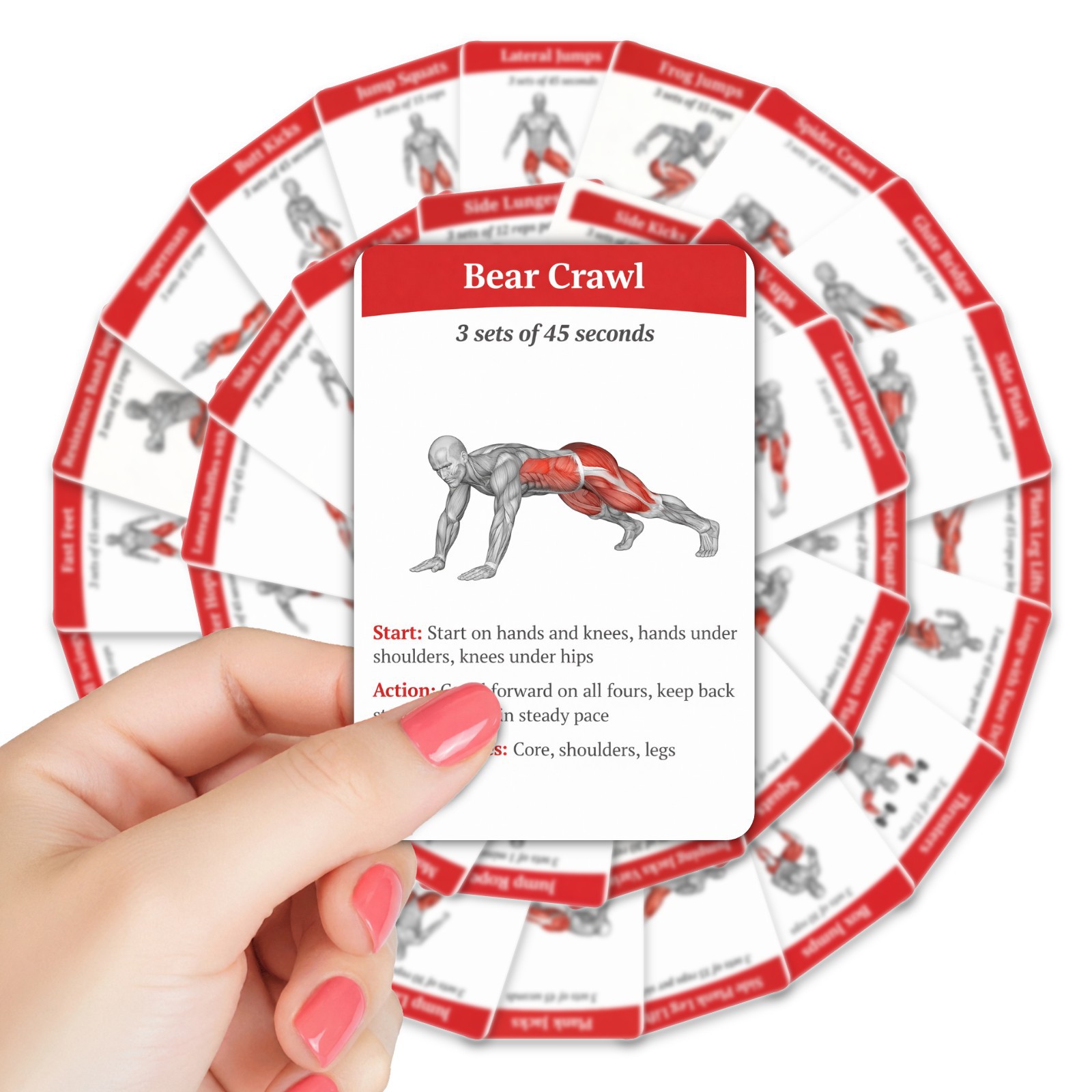 Cartes de guide d'entraînement - Home Gym Needs avis et prix