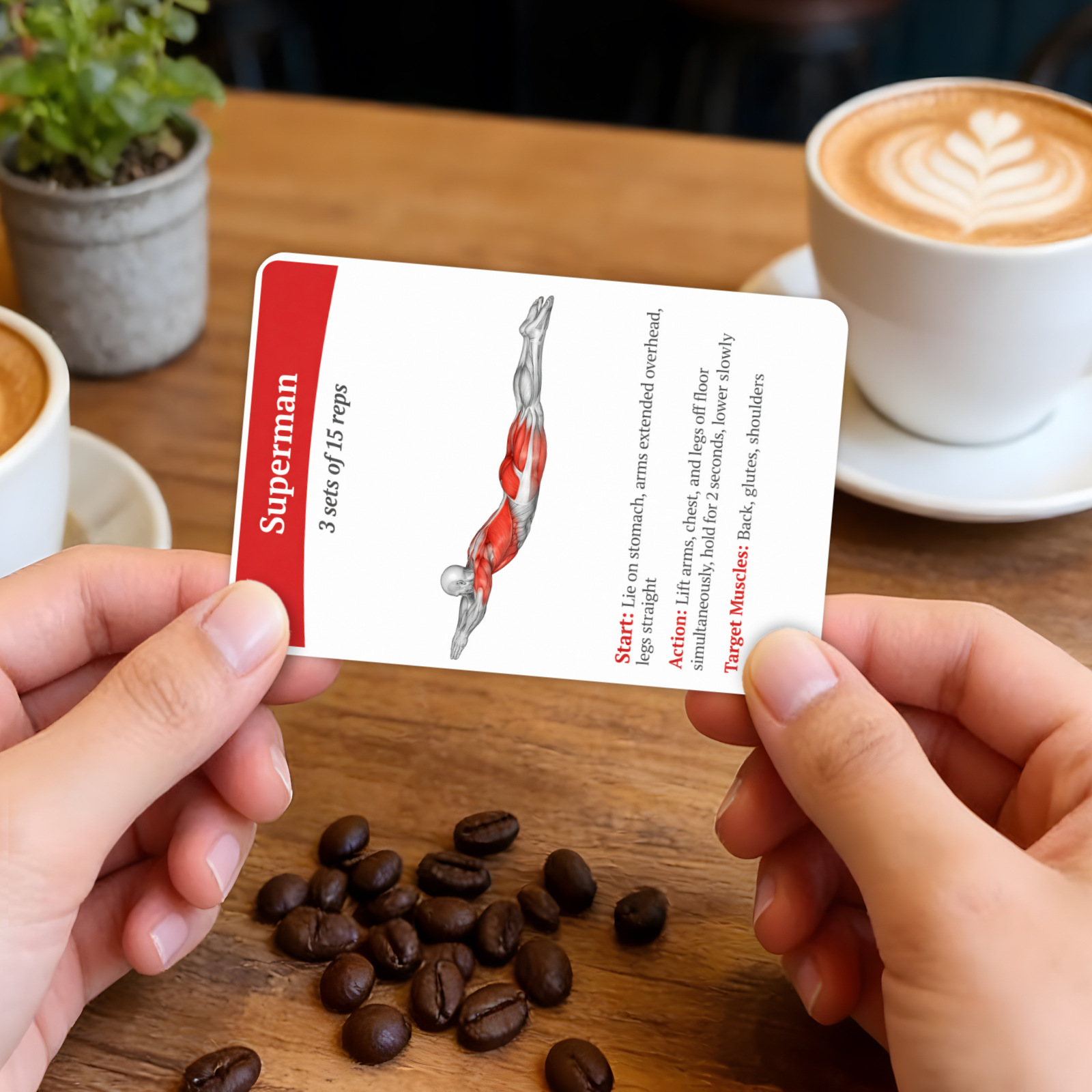 Cartes de guide d'entraînement - Home Gym Needs avis et prix